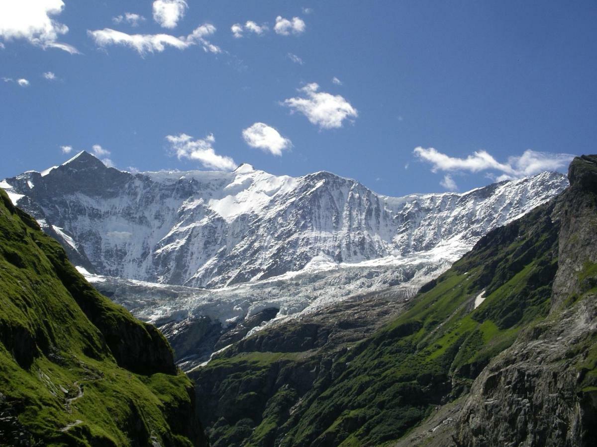 Chalet Verbrunnenhaus Grindelwald Apartment ภายนอก รูปภาพ