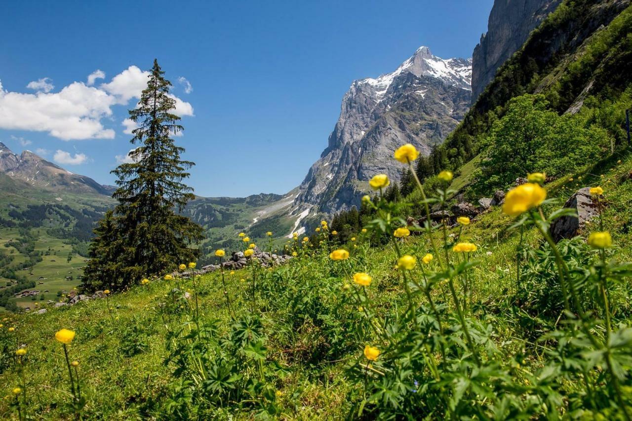 Chalet Verbrunnenhaus Grindelwald Apartment ภายนอก รูปภาพ